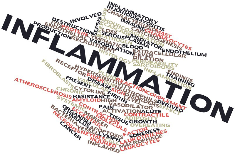 Inflammation and Disease